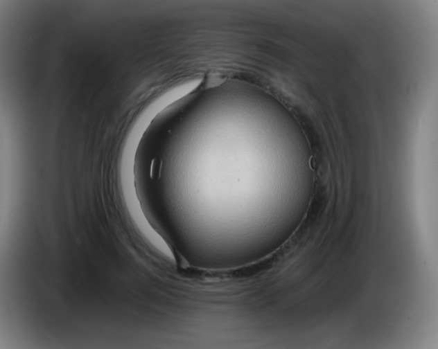 X0000085290744200703301938