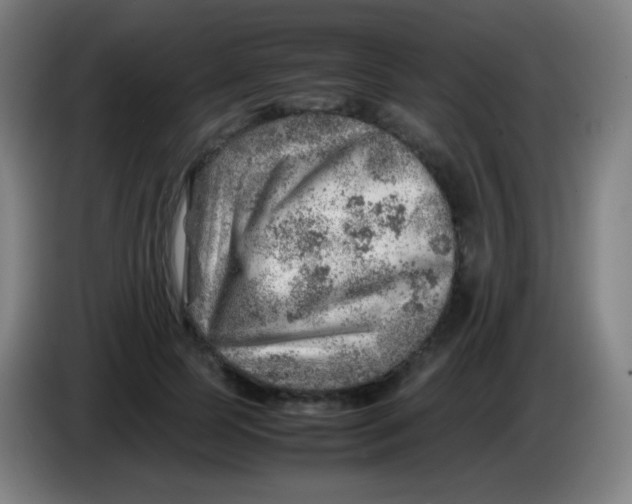 X0000085290745200703301938