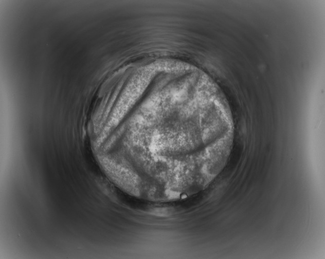 X0000085290746200703301938