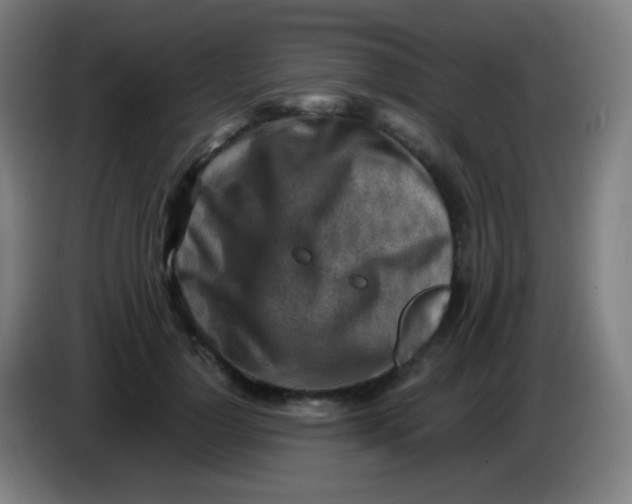 X0000085290748200703301938