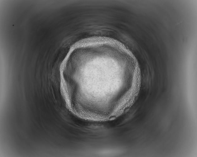 X0000085290749200703301938