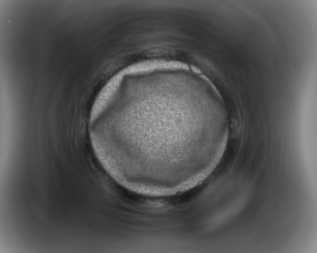 X0000085290753200703301938