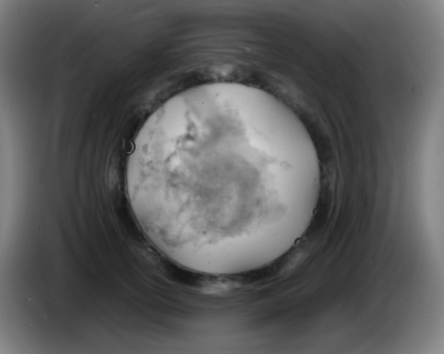 X0000085290754200703301938
