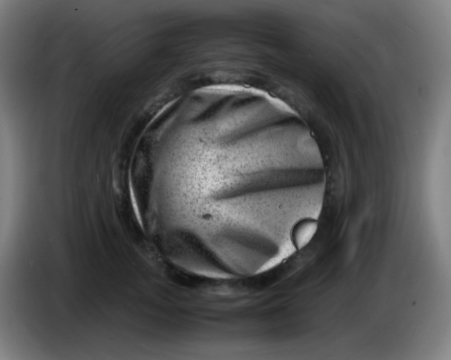 X0000085290755200703301938