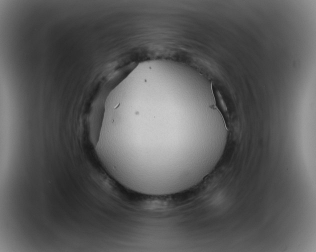 X0000085290756200703301938