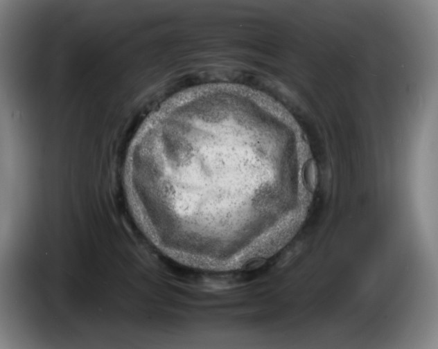 X0000085290757200703301938
