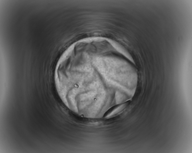 X0000085290760200703301938