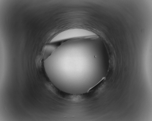 X0000085290762200703301938