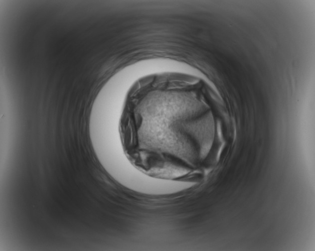 X0000085290766200703301938