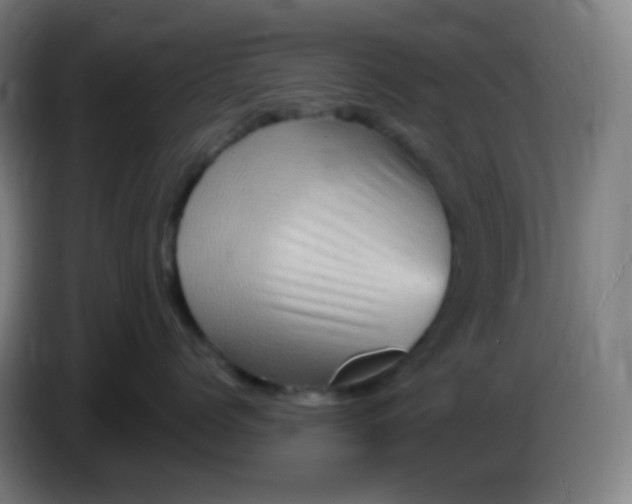 X0000085290768200703301938