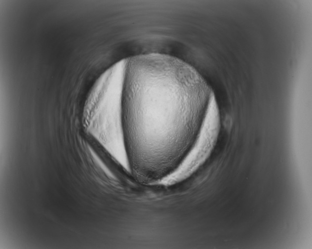 X0000085290771200703301937