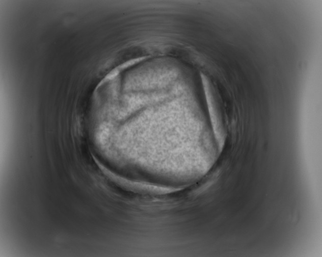 X0000085290772200703301937