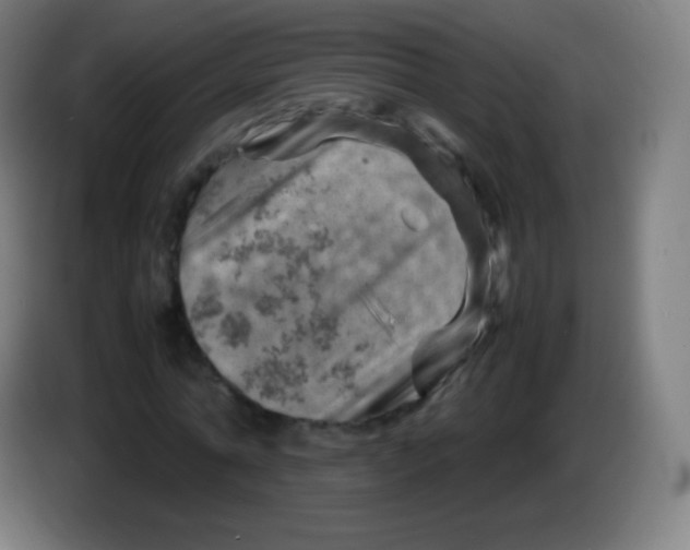X0000085290774200703301937
