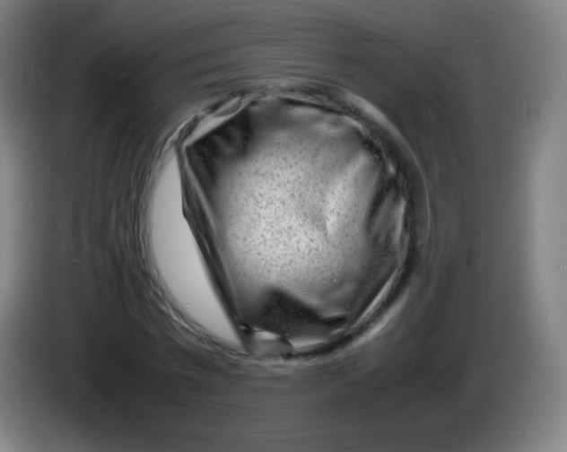 X0000085290777200703301937