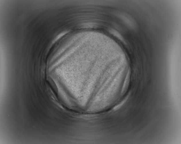 X0000085290778200703301937