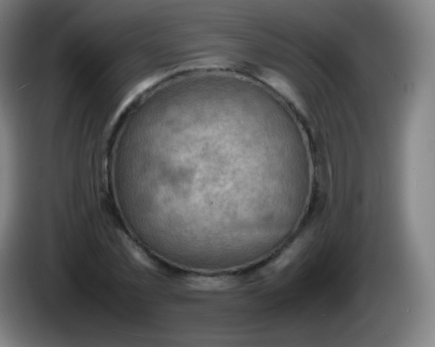 X0000085290781200703301937