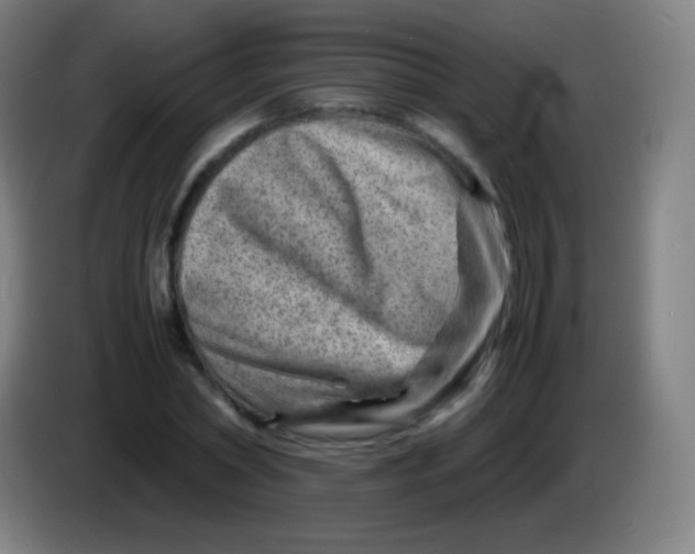 X0000085290782200703301937
