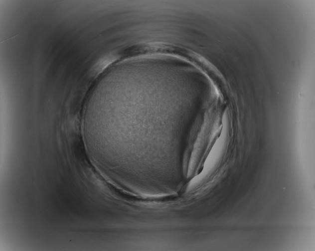 X0000085290785200703301937