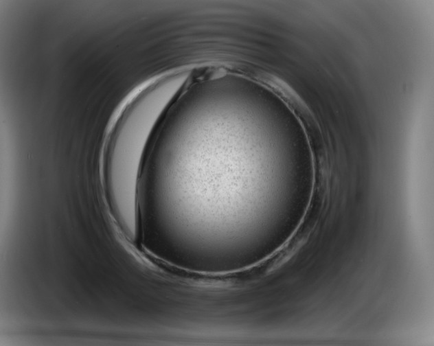 X0000085290788200703301937