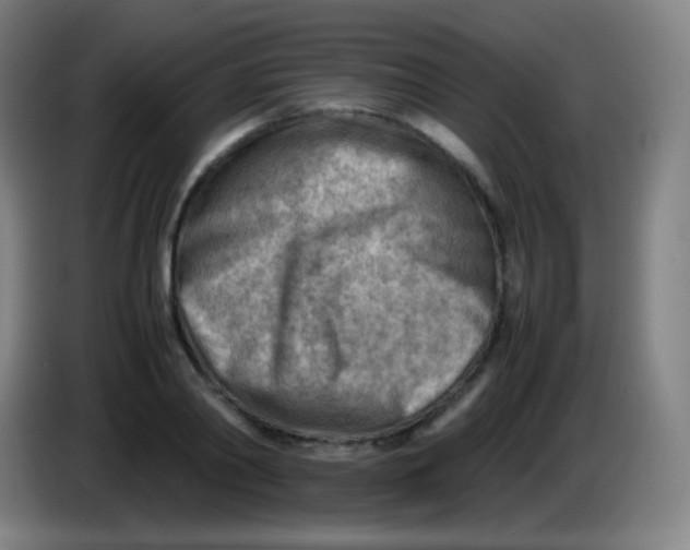 X0000085290790200703301937