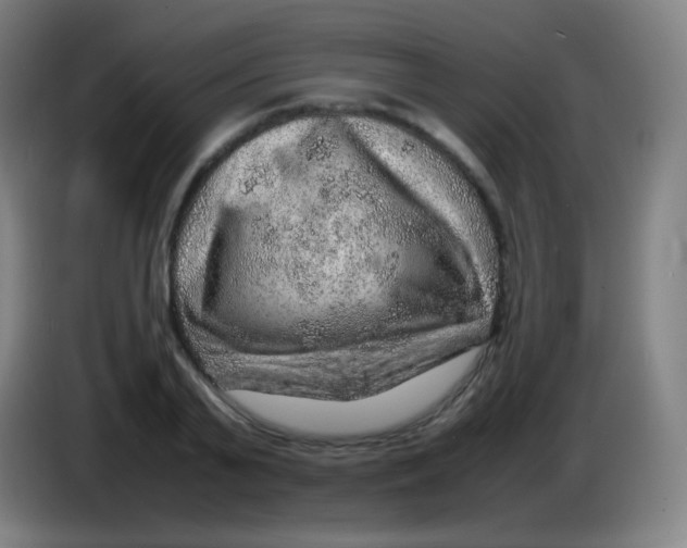 X0000085290791200703301937