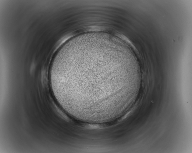 X0000085290794200703301937