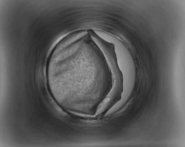 X0000085290796200703301937