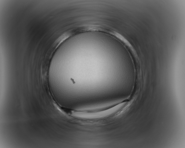 X0000085290801200703301937