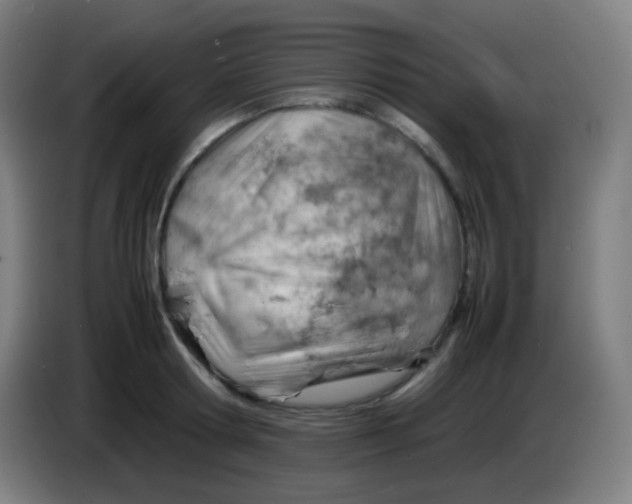 X0000085290802200703301937