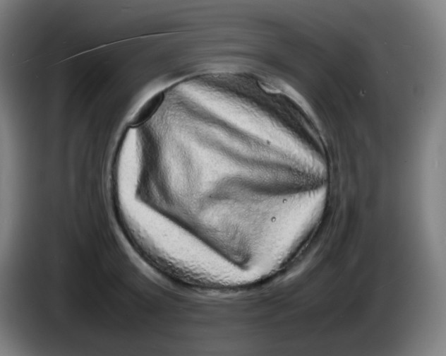 X0000085290803200703301937