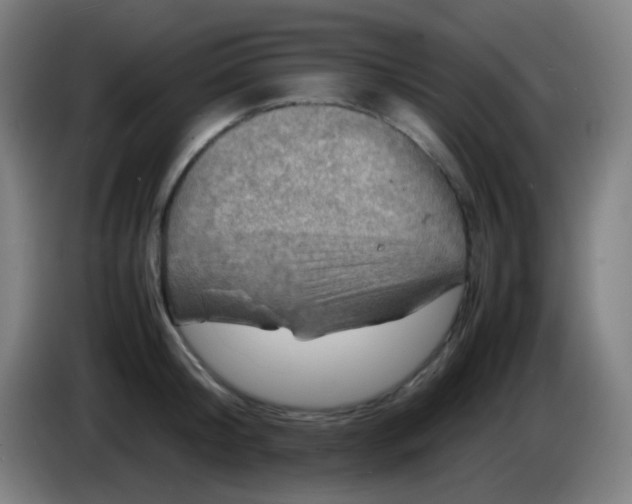X0000085290804200703301937