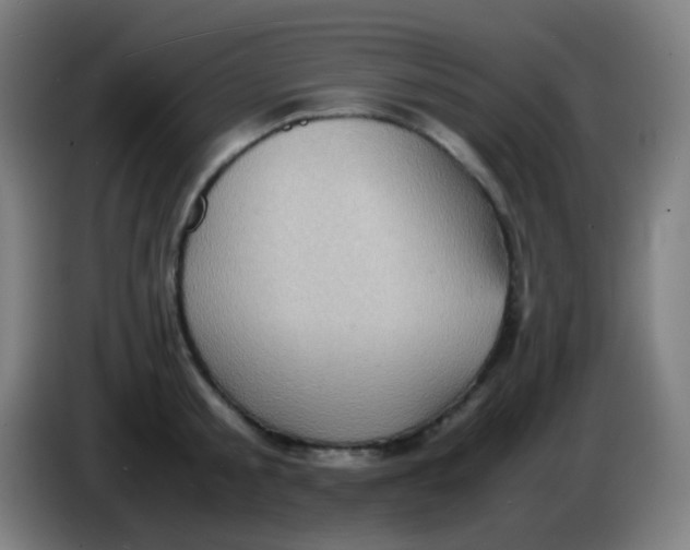 X0000085290805200703301937