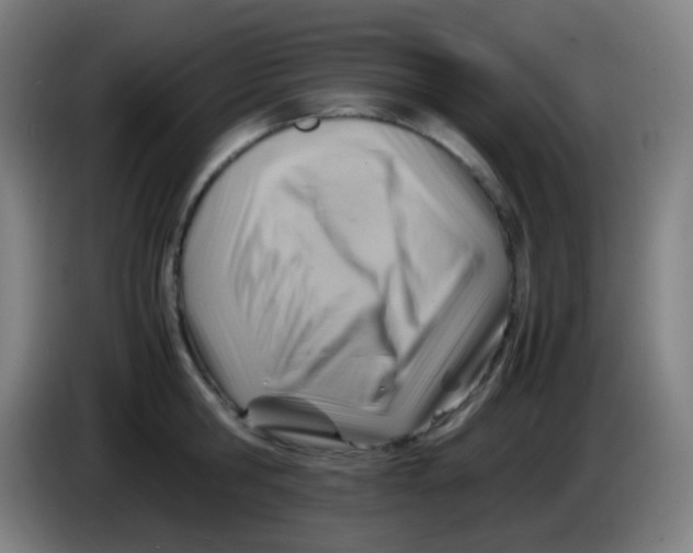 X0000085290806200703301937