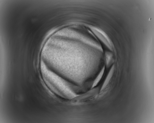 X0000085290815200703301937