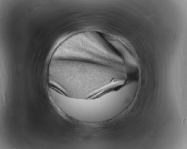 X0000085290816200703301937