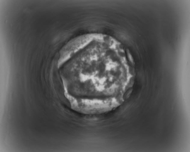 X0000085290817200703301936