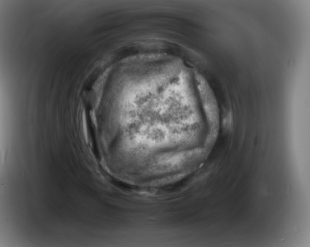 X0000085290819200703301936