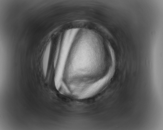 X0000085290821200703301936