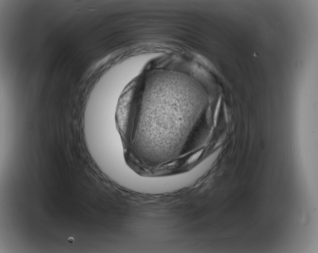 X0000085290822200703301936