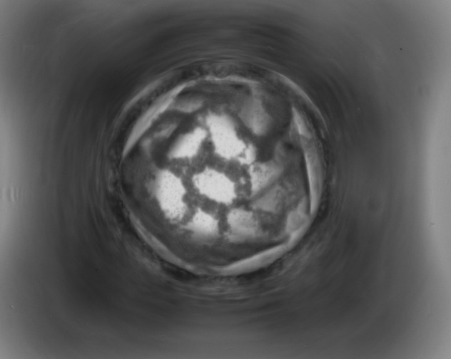 X0000085290823200703301936