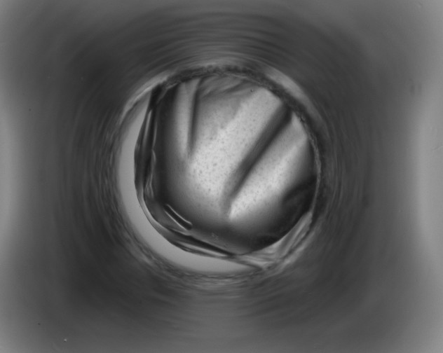 X0000085290826200703301936