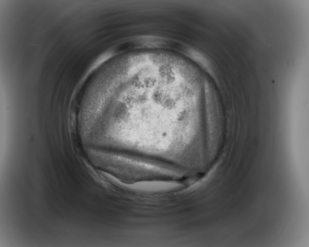 X0000085290827200703301936