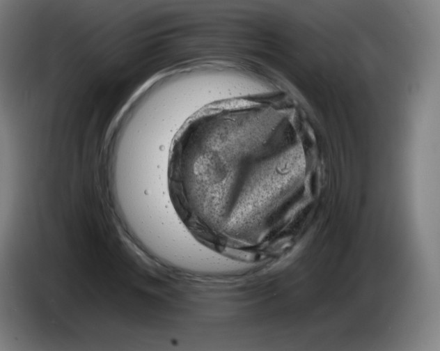 X0000085290828200703301936
