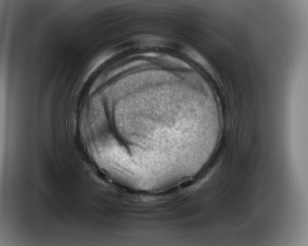 X0000085290829200703301936