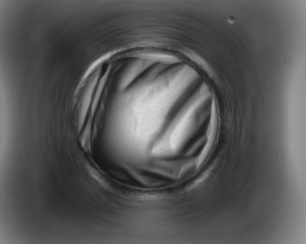 X0000085290830200703301936