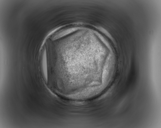 X0000085290831200703301936