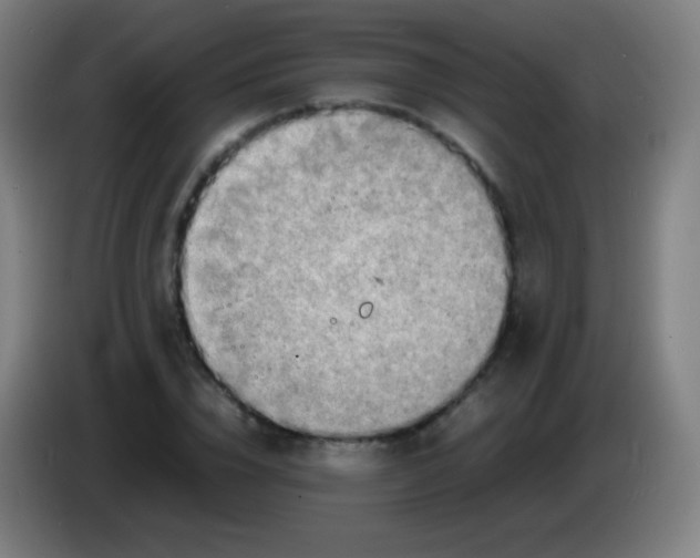 X0000085290832200703301936