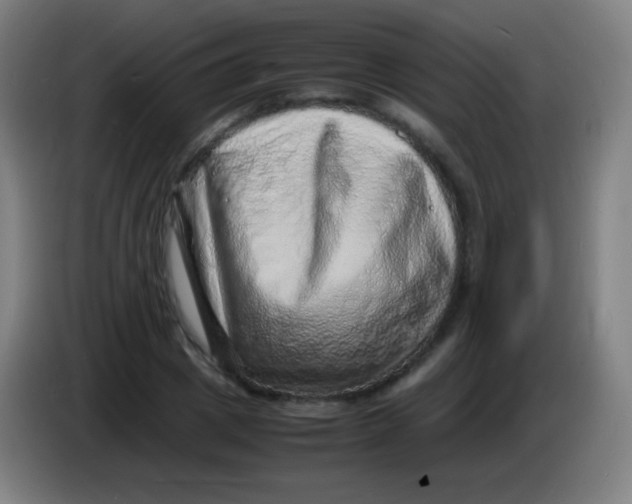 X0000085290833200703301936