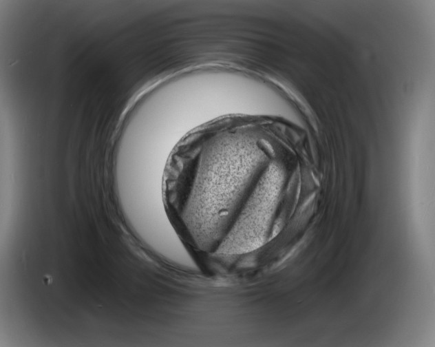 X0000085290834200703301936