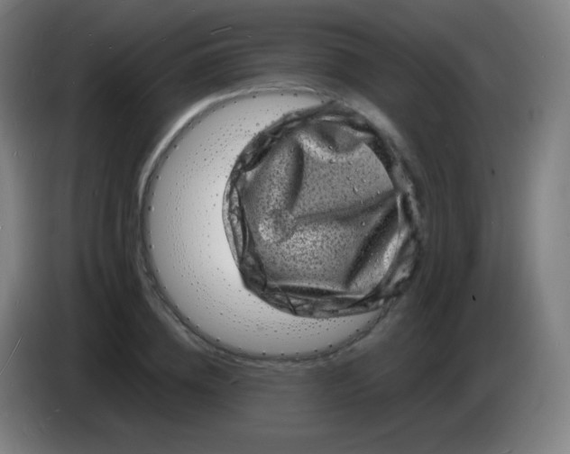 X0000085290836200703301936